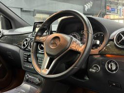 
										2013 MERCEDES BENZ B200 滿									